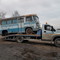 Газон Нэкст