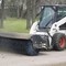 Bobcat