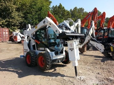 Bobcat
