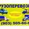 Газель