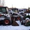 Bobcat