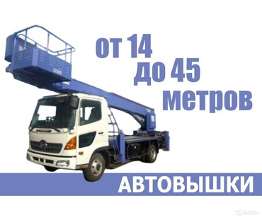 Hino, Fuso, Isuzu
