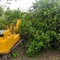 YANMAR B07