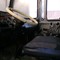 КаВЗ 3976