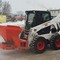 Bobcat