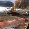 Hyundai 200, 210, 300, 330, 450