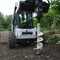 Bobcat