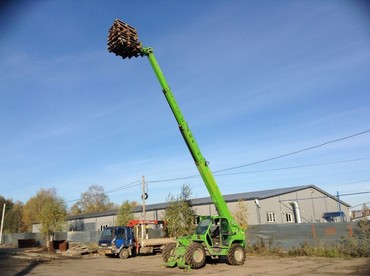 Merlo