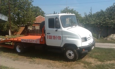 Газель