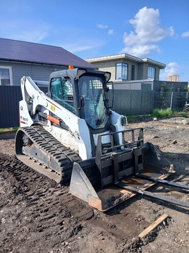 Bobcat