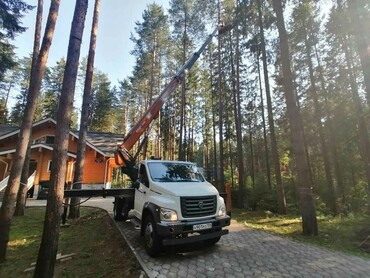 Газон некст