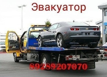 Газель