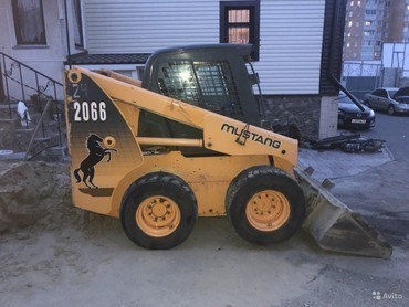 bobcat