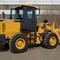 XCMG LW300F