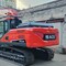 ACE 230