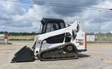 Bobcat