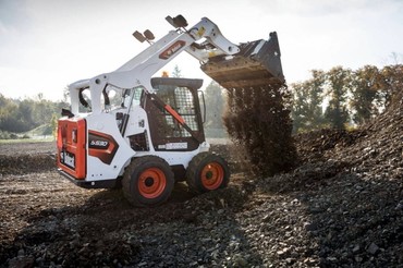 Bobcat