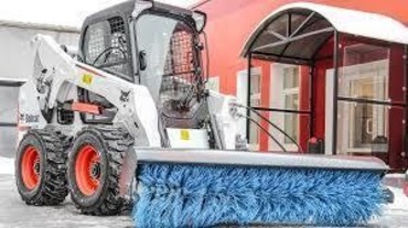 Bobcat