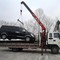 Isuzu forvard