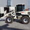TEREX TL 100