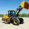 XCMG LW300FN