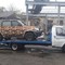 Газель