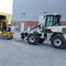 TEREX TL 100