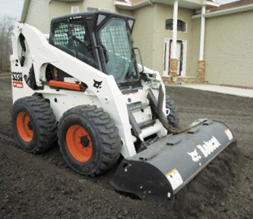 Bobcat