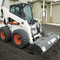 Bobcat