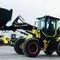 Bolder WL36