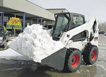 BOBCAT