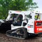 Bobcat