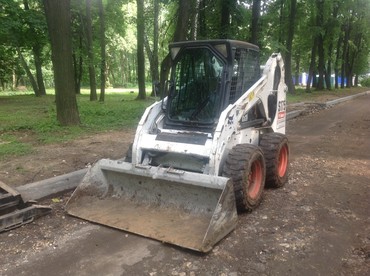 Bobcat