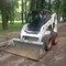 Bobcat