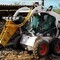 Bobcat-430