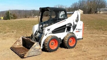 Bobcat