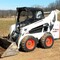 Bobcat