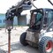 Bobcat