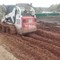 Bobcat 300