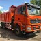 SHACHMAN SX32586T384
