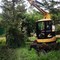 Cat 305
