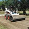Bobcat