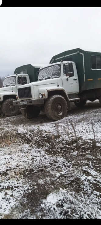 Газ садко