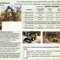John Deere 324G, Bobcat S100