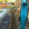 Kobelco