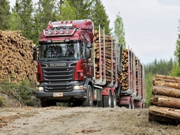 Камаз, МАЗ, MAN, Scania, Урал