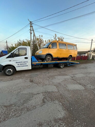 Газель
