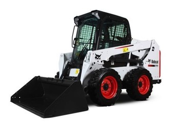 Bob cat