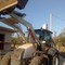 Terex