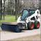 Bobcat
